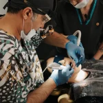کلینیک اسمایل لانژ در تهران