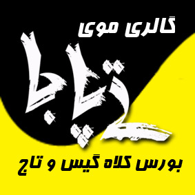 گالری موی “تی پا جا”