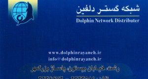 دلفین رایانه