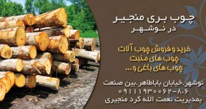 چوب بری منجیر در نوشهر