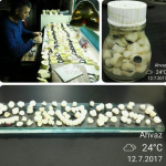 لابراتور تخصصی دندانسازی کوشا در اهواز