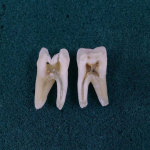 لابراتور تخصصی دندانسازی کوشا در اهواز