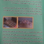 دکتر نرجس محسن زاده در رشت