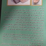 دکتر نرجس محسن زاده در رشت