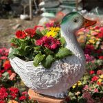 نمایشگاه گل و گیاه و سفال گیله مرد