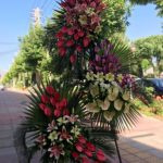 گل فروشی آکمیا در لواسان