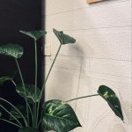 مجموعه تخصصی ماساژ و یوگا مهرآوران