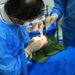 دکتر سید عمار بصری در بوشهر