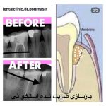 دکتر مائده پورنصیر در رشت