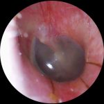 کلینیک شنوایی و سمعک برتر قرقانی پور در شهرضا