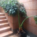 باشگاه مهرگان در مهرشهر کرج