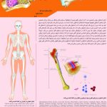 دکتر ولی اله شیرمحمدی در کرج