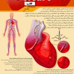 دکتر ولی اله شیرمحمدی در کرج