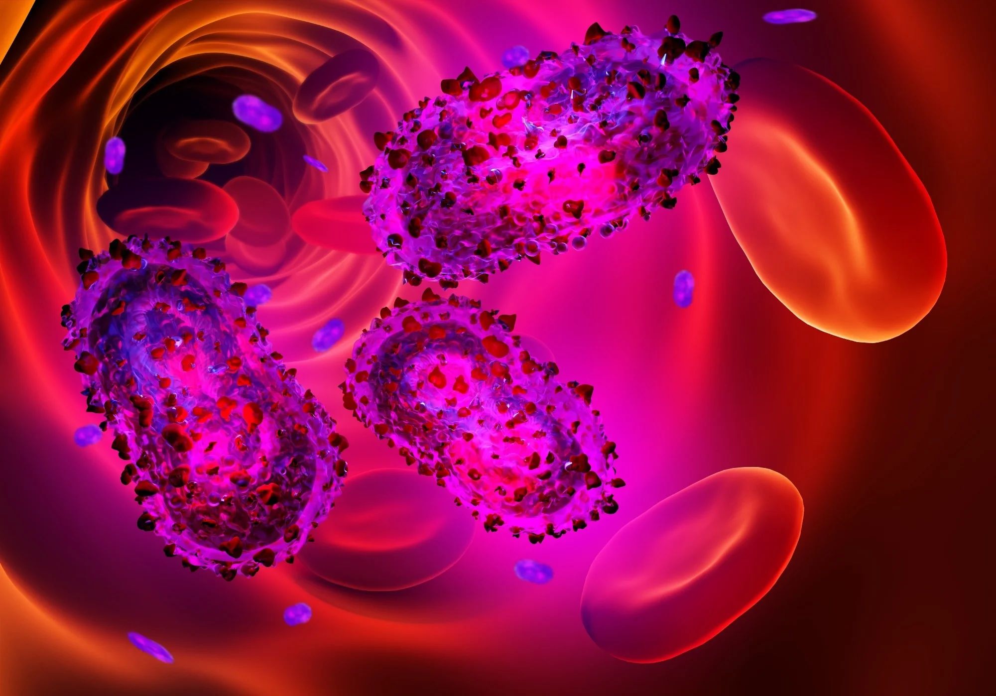 روش های پیشگیری از انتقال ویروس در محیط بسته