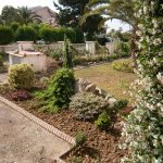 شرکت گل پاک در فومن