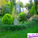 شرکت گل پاک در فومن