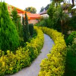 شرکت گل پاک در فومن