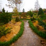 شرکت گل پاک در فومن