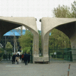 دکتر فریبا نادری غدد