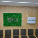عینک نگاه در املش