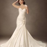 مزون برتر در مشهد