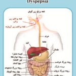 دکتر علی زرگر در قزوین