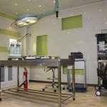 بیمارستان دامپزشکی شبانه روزی درین در تهران