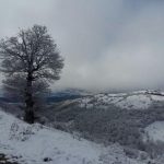 هتل آپارتمان بام شهر در گلستان
