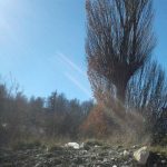 هتل آپارتمان بام شهر در گلستان