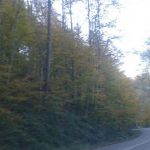 هتل آپارتمان بام شهر در گلستان