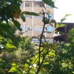 هتل آپارتمان بام شهر در گلستان