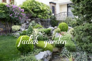 گروه طراحی فضای سبز باغ گل فدک در تهران