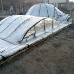 ایزوگام سلیمانی در بیرجند