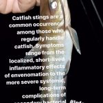 مهدی شهبازی آزاد کارشناس علمی درمان زخم در اصفهان