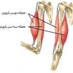 مهدی شهبازی آزاد کارشناس علمی درمان زخم در اصفهان