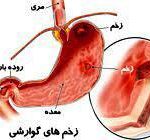 مهدی شهبازی آزاد کارشناس علمی درمان زخم در اصفهان