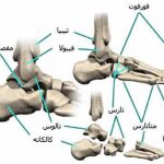 مهدی شهبازی آزاد کارشناس علمی درمان زخم در اصفهان
