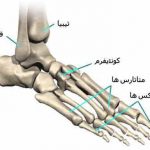 مهدی شهبازی آزاد کارشناس علمی درمان زخم در اصفهان