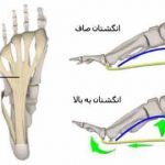 مهدی شهبازی آزاد کارشناس علمی درمان زخم در اصفهان