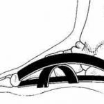 مهدی شهبازی آزاد کارشناس علمی درمان زخم در اصفهان