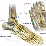 مهدی شهبازی آزاد کارشناس علمی درمان زخم در اصفهان