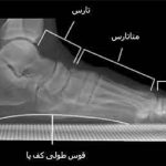 مهدی شهبازی آزاد کارشناس علمی درمان زخم در اصفهان