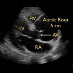 مهدی شهبازی آزاد کارشناس علمی درمان زخم در اصفهان