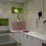 بیمارستان دامپزشکی شبانه روزی درین در تهران