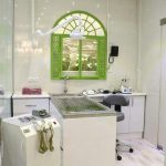 بیمارستان دامپزشکی شبانه روزی درین در تهران