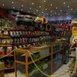 بیمارستان دامپزشکی شبانه روزی درین در تهران