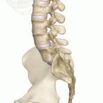 کلینیک فیزیوتراپی پاسارگاد در کرج