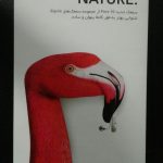 دکتر مژگان کیانی آسیابر در تهران