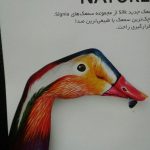 دکتر مژگان کیانی آسیابر در تهران