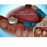 دکتر گلسا مددی در شیراز